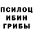 Галлюциногенные грибы Psilocybe Bibek Barman