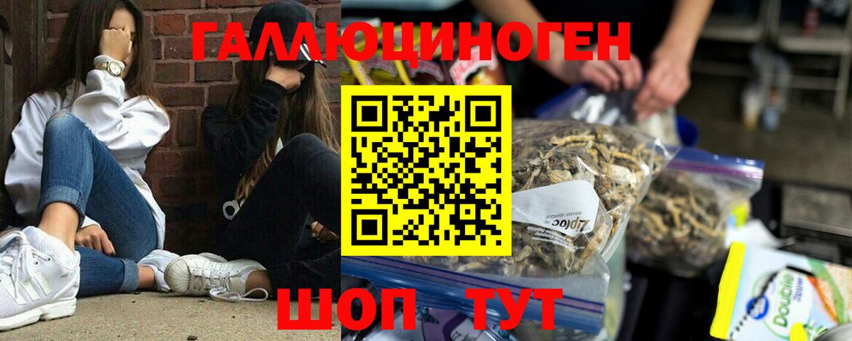 Галлюциногенные грибы GOLDEN TEACHER  Вход с VPN  Тула  Псилоцибиновые грибы мицелий 