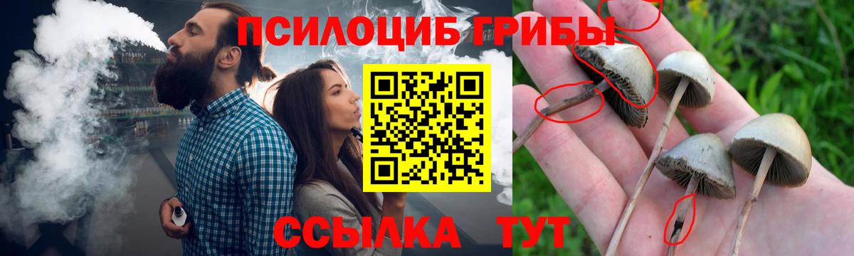 Галлюциногенные грибы ЛСД Тула